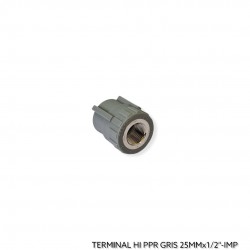 TERMINAL PPR 25MM x 1/2" HI...